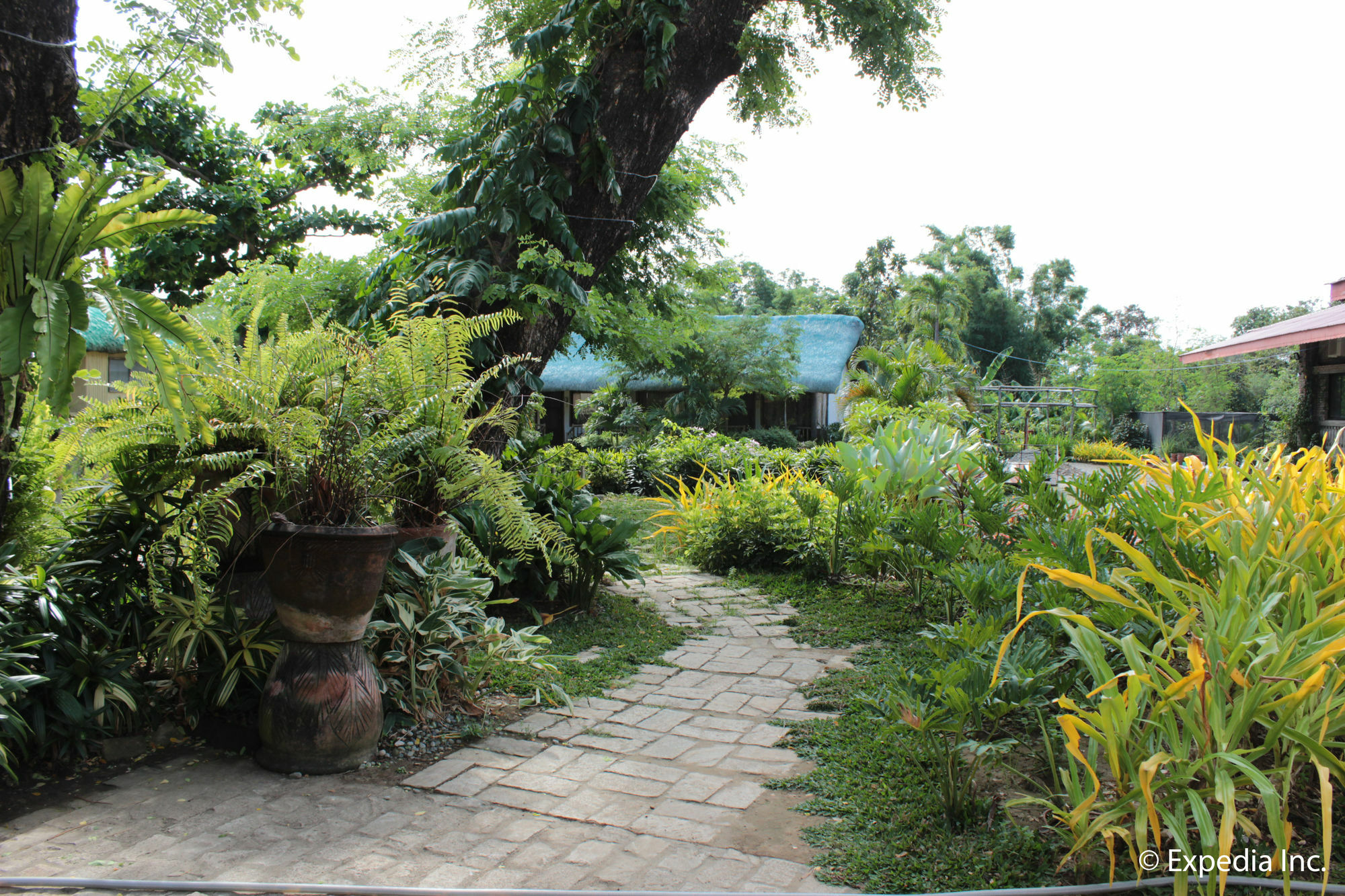 Reddoorz Plus Near Vigan Convention Center Luaran gambar