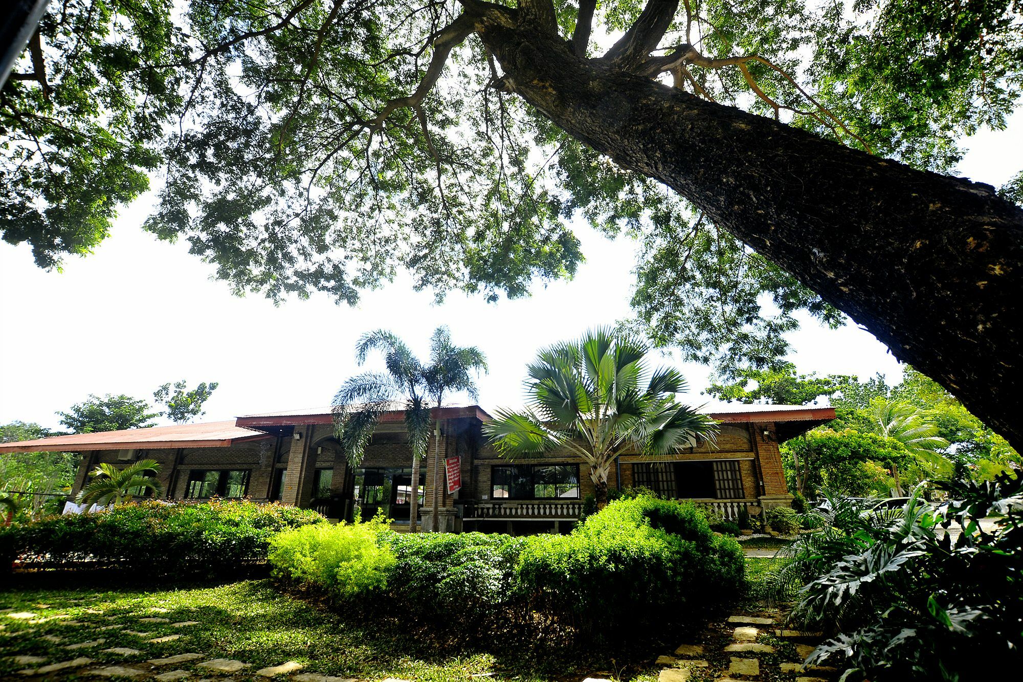 Reddoorz Plus Near Vigan Convention Center Luaran gambar